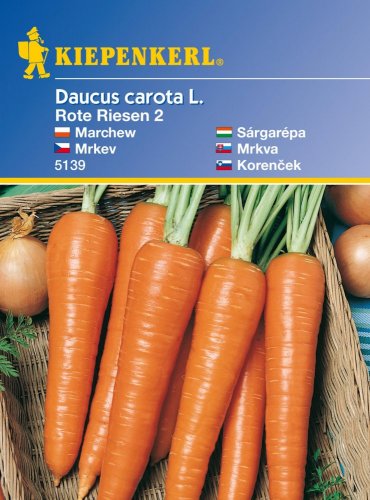 Carrot Rote Riesen 2 - Carrot Seeds