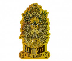Jelly Bananen -feminizovaná semena marihuany, 3ks Exotic Seed