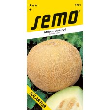 Solartur Muskmelon