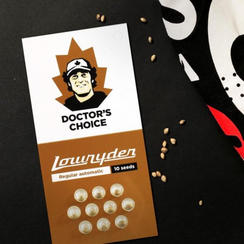 Lowryder Auto - standardizovaná semena 3 ks, Doctor's Choice