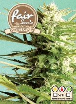 AutoSweet Dwarf - Selbstblühende Samen 10 Stück Fair Seeds