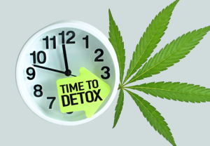 Ako detoxikovať konope: najlepšie spôsoby, ako dostať THC z tela