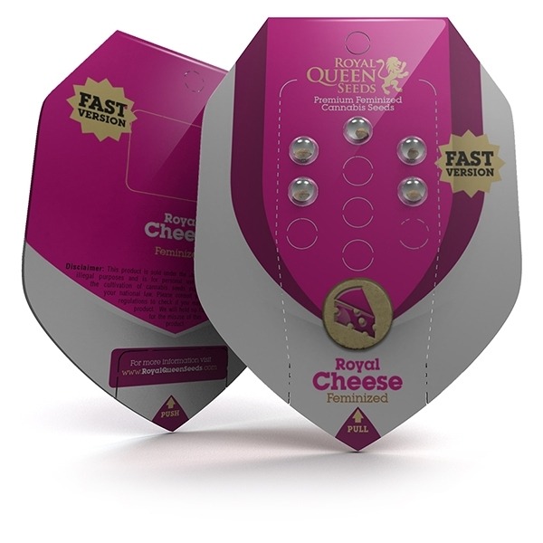 Royal Cheese (Fast Flowering) - feminizované semienka 5 ks Royal Queen Seeds