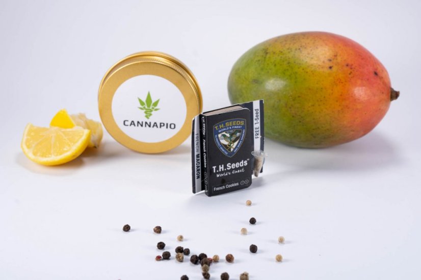 French Cookies - 5ks feminizovaná semienka T.H. Seeds
