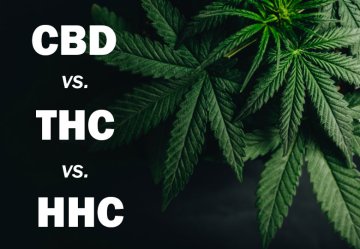 CBD vs. THC vs. HHC – Cannabinoide erklärt