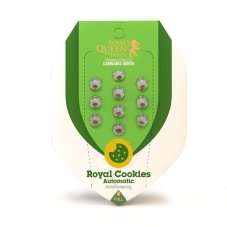 Royal Cookies Automatic - fem. und selbstblühende Samen 10 Stück Royal Queen Seeds