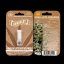 Vanilla Latte Auto - autoflowering semena marihuany 3 ks, Humboldt Seed Company