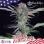 Buddha Auto Zkitt, 10 pcs, Buddha Seeds