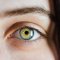 Cannabis as a Potential Aid in Glaucoma Treatment