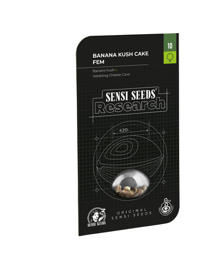 Banana Kush Cake - feminizované semienka 3 ks Sensi Seeds