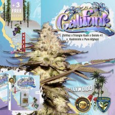 T.H. Seeds CaliFunk feminizované semená