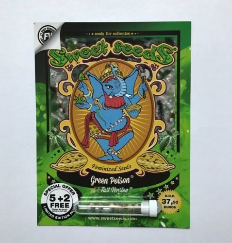 Green Poison Fast Version - Feminizowane 5ks Sweet Seeds