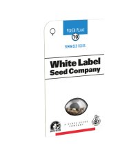 Pure Power Plant - feminizovaná semínka konopí 5 ks, Sensi Seeds