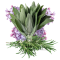 TERPINOLENE: A CANNABIS TERPENE WITH MANY THERAPEUTIC EFFECTS