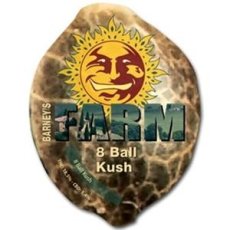 8 Ball Kush – feminizované semienka 10 ks Barney Farms
