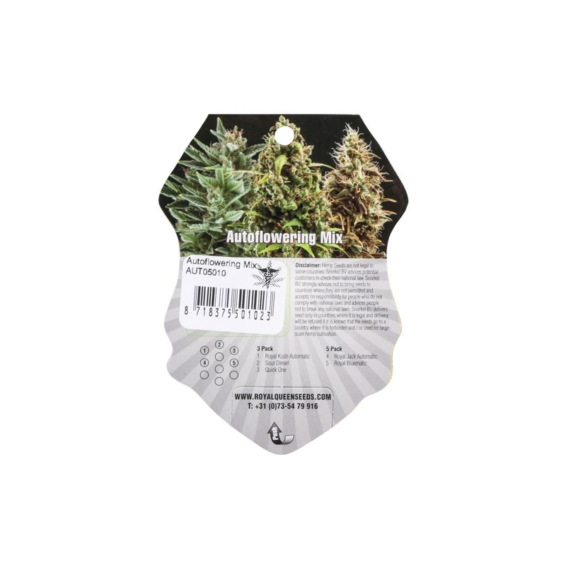 Autoflowering mix - samonakvétací semínka 5ks Royal Queen Seeds