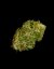Apollo F1 - autoflowering marijuana seeds 5pcs, Royal Queen Seeds