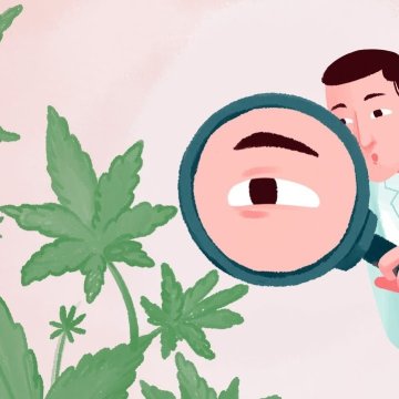 Klinisches Endocannabinoid-Defizit: Was ist das und wie äußert es sich?