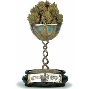 CANNABIS CUP