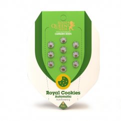 Royal Cookies Automatic - samonakvétací semínka 3ks Royal Queen Seeds