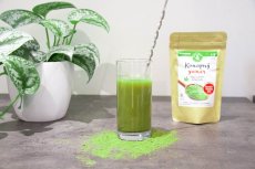 Konopljin protein kokos s ananasom 125g, Green Earth