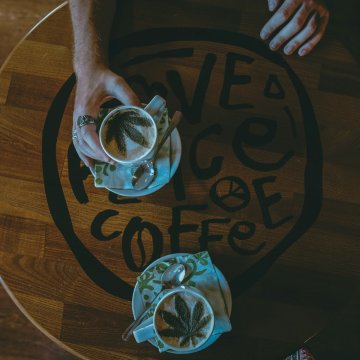 Káva a konopí: Jak THC a CBD ovlivňují váš šálek ráno? (Studie)