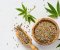 Cannabis seed has many forms
