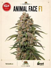 Nasiona feminizowane Fair Seeds Animal Face F1