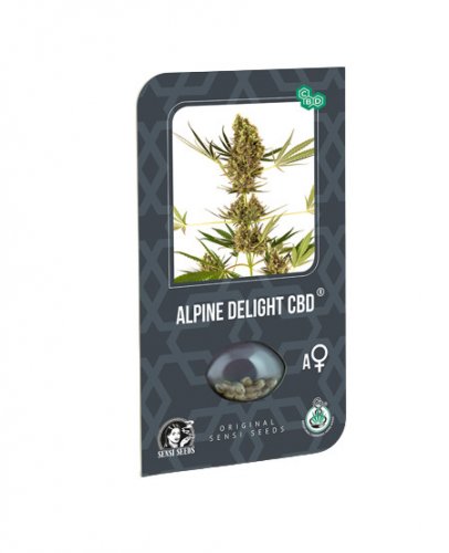 Alpine Delight CBD Automatic - autoflowering seeds 5 pcs, Sensi Seeds