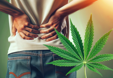 CBD und Rückenschmerzen: Lindert Cannabidiol wirklich Schmerzen?
