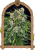 Sir Jack Auto Pure CBD - Graines Féminisées Autofloraison, 5 pcs, Exotic Seed