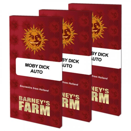 Moby Dick Auto - nasiona automatycznie kwitnące 3 sztuki, Barney´s Farm