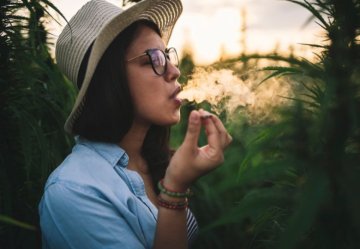 Toleranz für Cannabis: Was ist das und kann man ihr ausweichen?