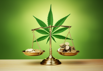 Niedriger Preis, niedrige Qualität: Warum man kein günstiges CBD-Öl kaufen sollte?