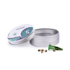 Auto Galaxy - autoflowering seeds 5 pcs Cannapio