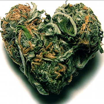 Beeinflusst der Cannabiskonsum den Herzrhythmus?