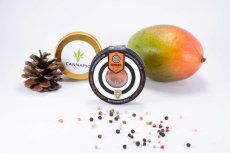 Swiss Dream Auto CBD - 5ks samonakvétací semínka Kannabia Seeds