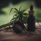 CBD as an Antibiotic: Can It Fight Antibiotic Resistance?