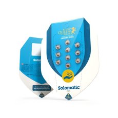 Solomatic CBD - Feminized and Autoflowering Seeds of 10 Royal Queen Seeds