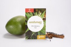 C99 x Blueberry Fast - feminisierte Samen 5 Stück Seedsman