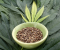 How to choose the right seeds?
