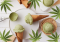 Refresh Yourself with Hemp: 3 Simple Recipes for Homemade Hemp Ice Cream