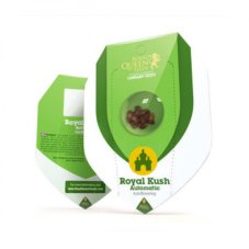 Royal Kush Automatic - nasiona autofloweringowe 5szt, Royal Queen Seeds