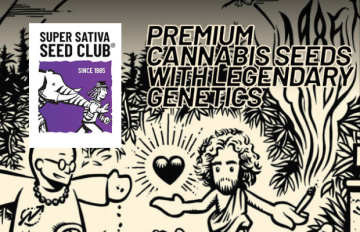 NOVINKA V NAŠEJ PONUKE: Semená od seedbanky Super Sativa Seed Club