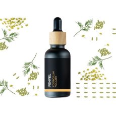 Schwarze Glasflasche mit Tropfer und Holzverschluss, umgeben von grünen Fenchel-Zweigen und Samen auf weißem Hintergrund