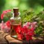 BIO Pelargónia ružová - 100% prírodný esenciálny olej (10ml) - Pestík