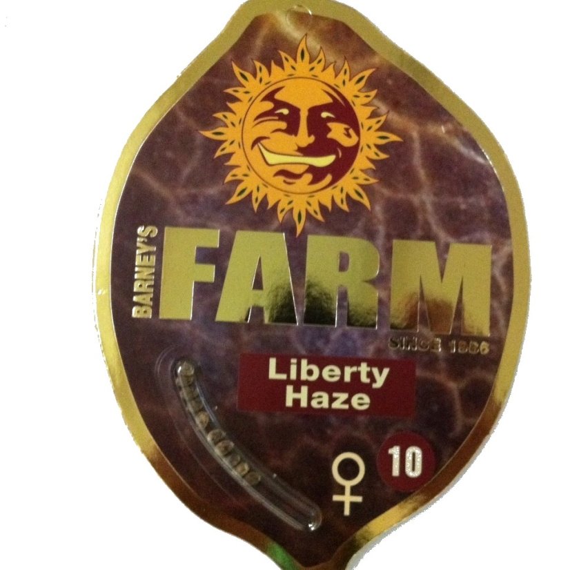 Liberty Haze - feminisierte Samen 10 Stück Barney's Farm