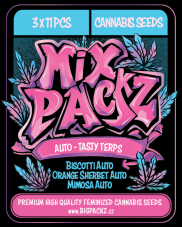 MIX PACKZ Auto Tasty Terps, samonakvétací semena, 33 ks