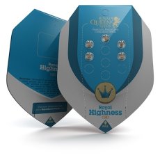 Royal Highness - feminizované semienka 5 ks Royal Queen Seeds