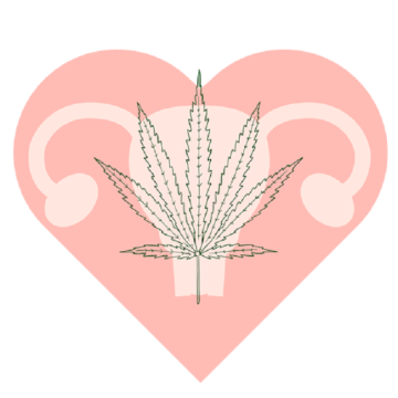 Polyzystisches Ovar-Syndrom: Wie könnte CBD helfen?